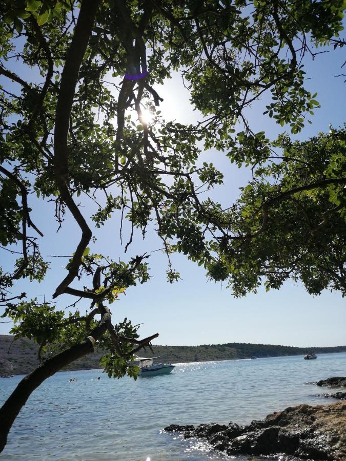 Apartmani Katarina Barbat na Rabu Bagian luar foto