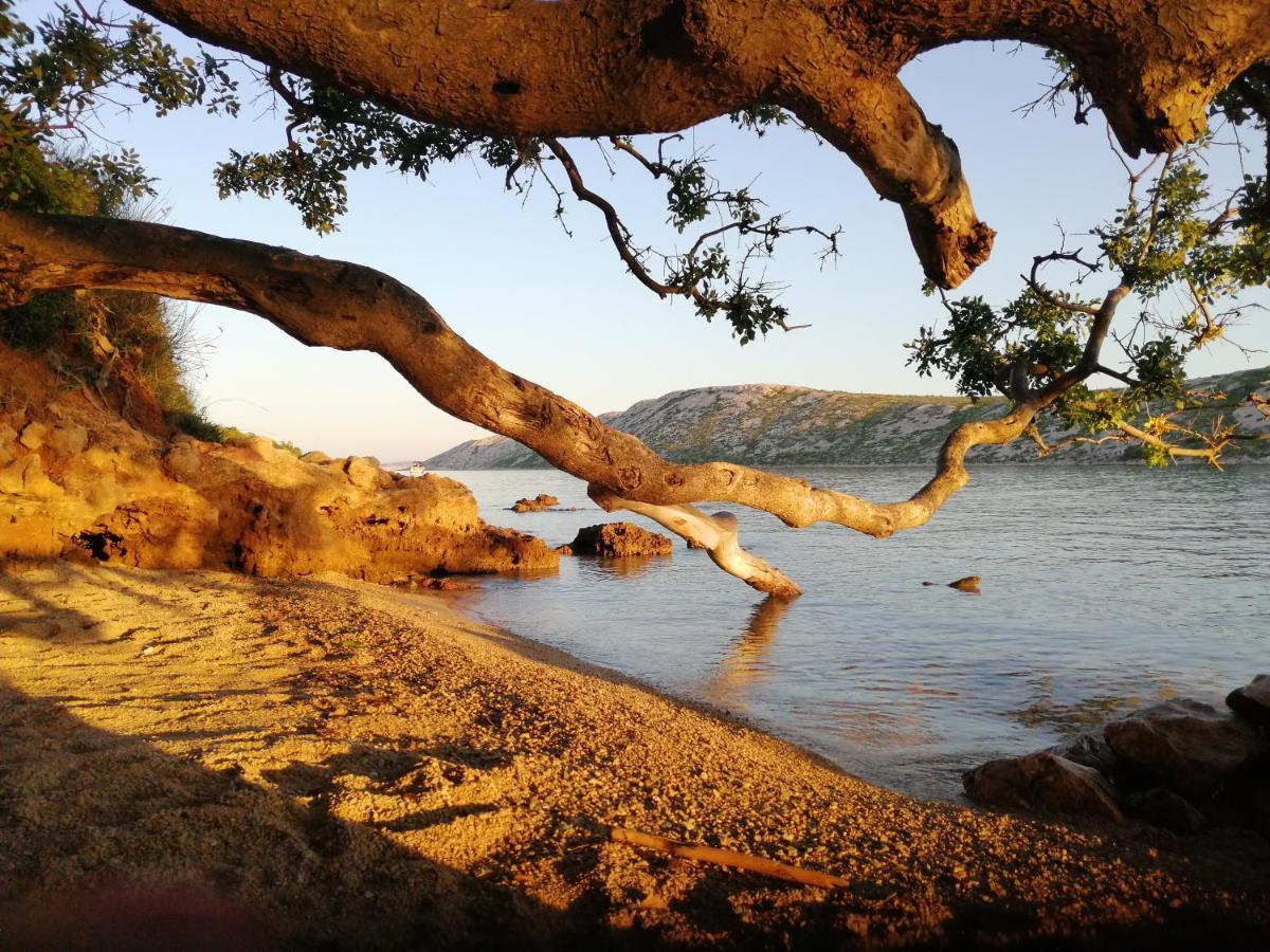 Apartmani Katarina Barbat na Rabu Bagian luar foto